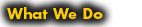 What We Do